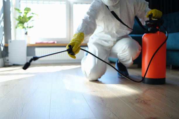 Reliable Sewage Cleanup contractor in Riverside, ID by Trauma Clean Pros